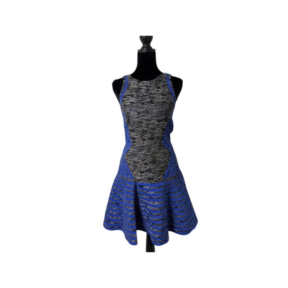 Parker Blue Metallic Silver Geometric Striped Fit Flare Mini Dress XS Sleeveless